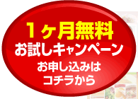 1���������������L�����y�[���̂��\������